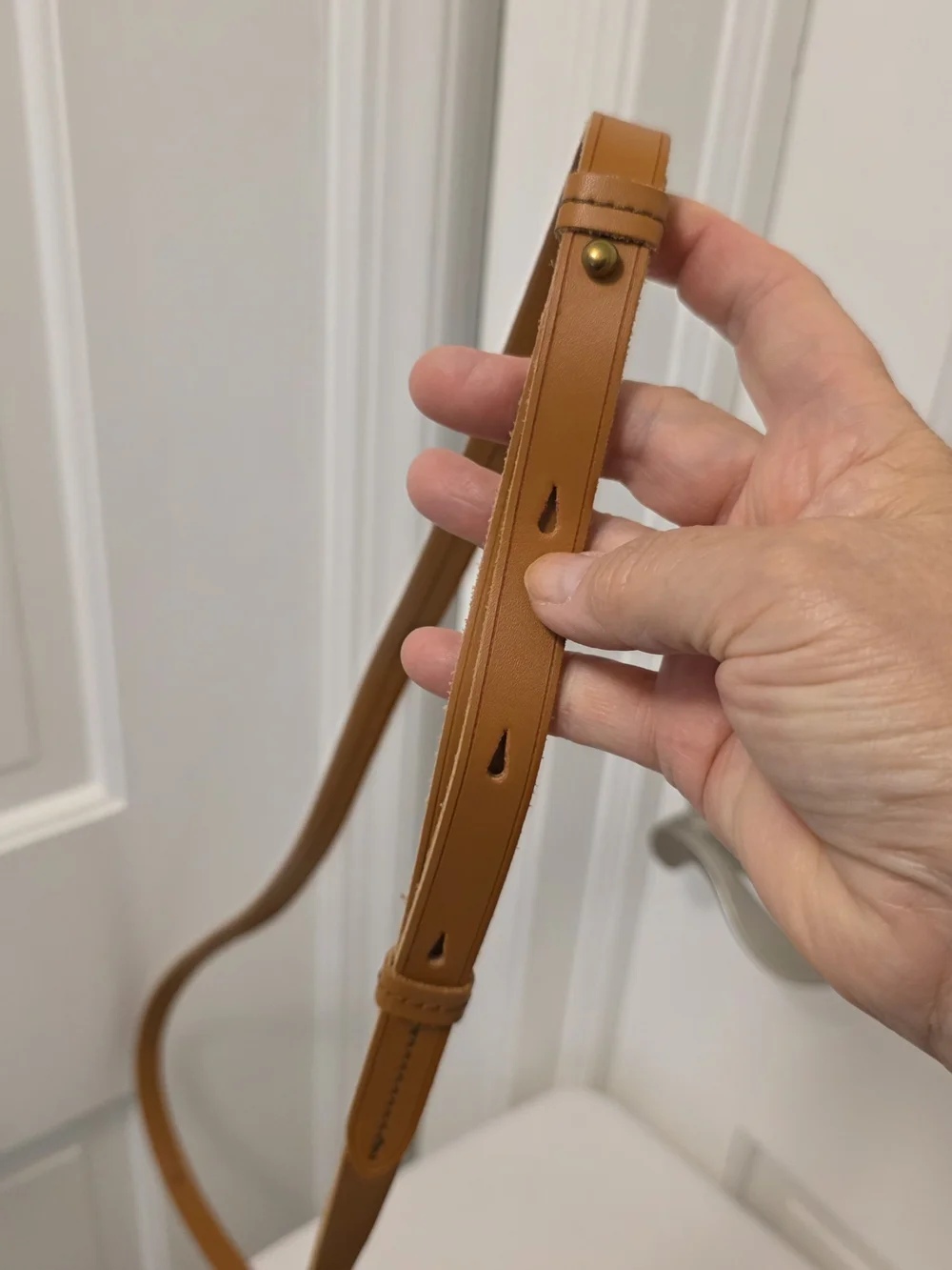 J. Crew Ryann Leather Crossbody Bag, Sleek Slim Casual
